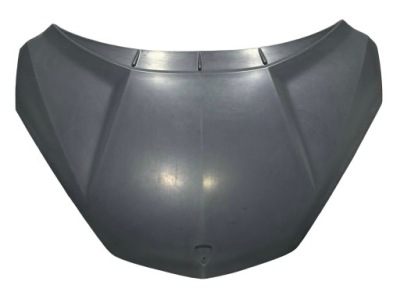 LAMBORGHINI REVUELTO CARBON VORNE MOTORHAUBE 47B823021K