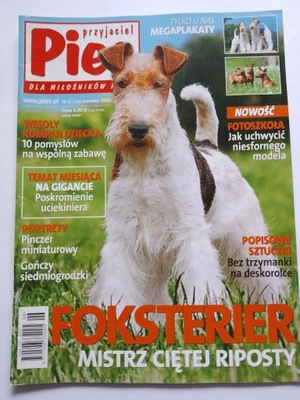 Przyjaciel Pies magazyn Foksterier nr 6 czerwiec 2010