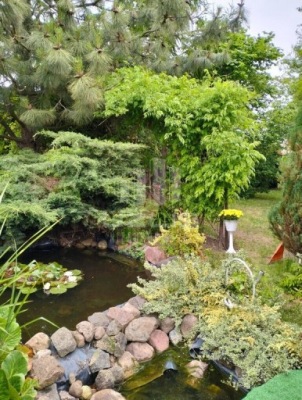 Działka, Gdańsk, 450 m²