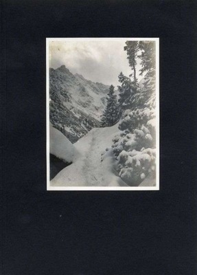 Władysław Miedniak: 24. Z krainy bajki, Tatry 1929