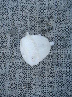 Бачок омивача vw t6 crafter transporter фото №1