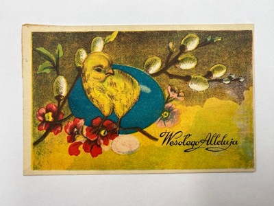 Pocztówka pisklę bazie