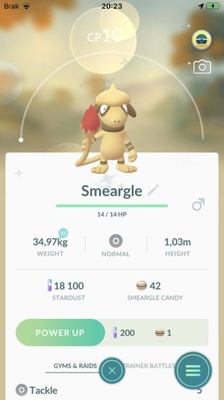 KONTO POKEMON GO SHINY Smeargle