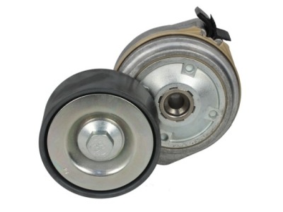 Натягувач ремінь клиновий man tgl tgm фото №1