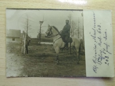 żołnierz na koniu w Niemcy 1916 r.
