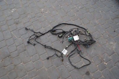 Journey 2.0 джгут pas перед фото №1