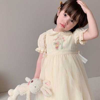 2022 New Girl Skirt Doll Collar Embroidered Gauze