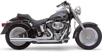 WYDECH COBRA Harley Softail 2012-2017 Chrom HD