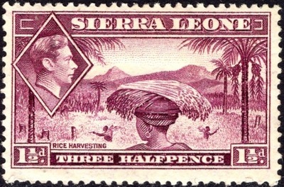 kol.bryt.Sierra Leone KGVI 1,5 d.czysty *