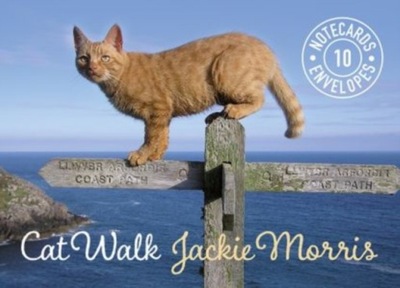 Cat Walk Notecards Cards Jackie Morris