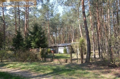 Działka, Rynia, Dobre (gm.), 1315 m²