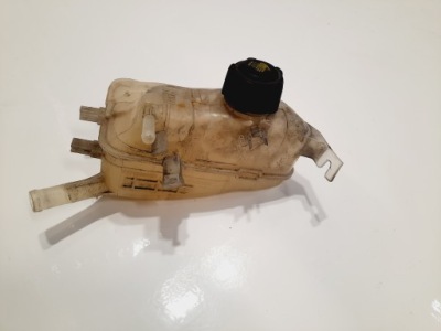 Renault grand scenic iii 2.0 dci бак розширювальний 217100005r фото №1