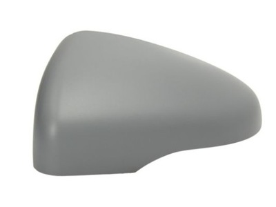 BLIC PROTECTION MIRRORS EXTERIOR  