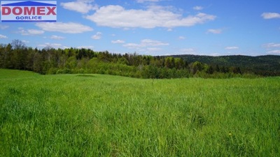 Działka, Lipinki, Lipinki (gm.), 3100 m²