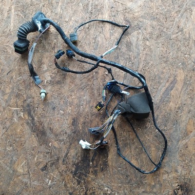 Електропроводка джгут двері правий перед laguna ii фото №1