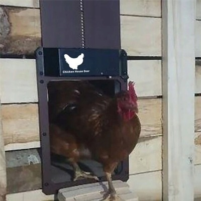 Automatyczne drzwi kurczaka, inteligentne drzwi