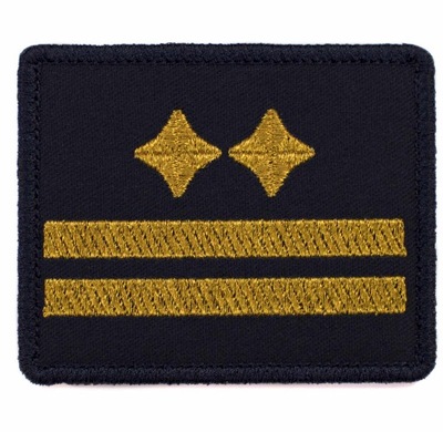 DYSTYNKCJE STOPIEŃ STRAŻ MIEJSKA - KOMENDANT - RZEP