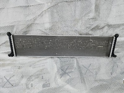 Tesla model s 12-16 радіатор wody фото №1