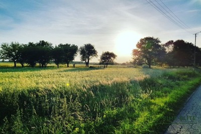 Działka, Gleźno, 250000 m²