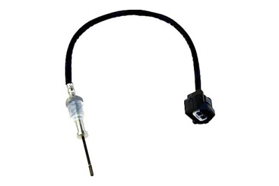 NTY SENSOR TEMPERATURA GASES DE ESCAPE NISSAN NP300 NAVARA D40 3.0DCI 10-  