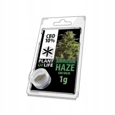 Hasz Amnesia Haze 10% CBD Plant Of Life
