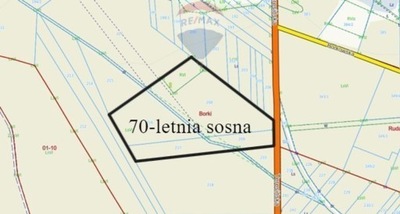 Działka, Borki, Radzymin (gm.), 52905 m²