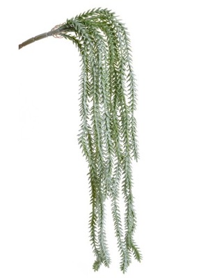 GRUBOSZ WIDEŁKOWATY WISZĄCY ZIELONY 68cm