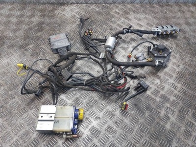 INSTALACIÓN DE GAS LPG 4 CYL STAG-4 ECO J01310 PS-01 TYPE R02 AC W01-4  