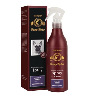 Spray nabłyszczający Champ-Richer 250ml