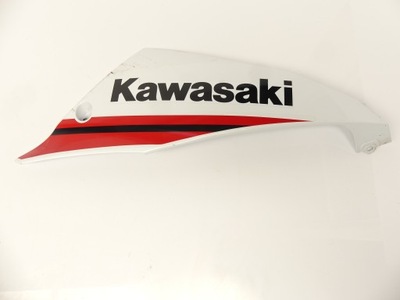 , LADO DEFLECTOR PROTECCIÓN PLUG P KAWASAKI NINJA 650 EX 650 17+  