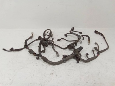 Lexus ct 200h 2013 джгут трубопровід двигуна фото №1