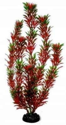 Sztuczna roślina ARYCHNIK CZERWONO-ZIELONY 20 cm