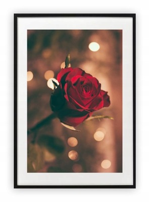 Plakat 30x40 cm Róża Kwiat Roślina Wiosna WZORY