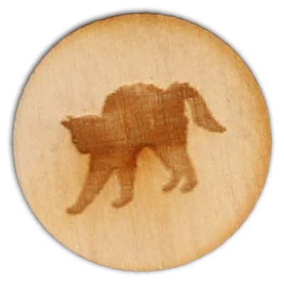 BA-017 Badzik - kotek