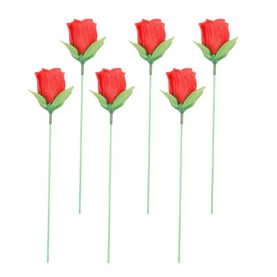 Róża Płonąca Różdżka Kwiat 6 SZT