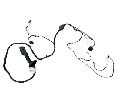 Електропроводка джгут двері задня bmw x4 g02 фото №1