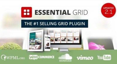 Wtyczka Essential Grid WordPress Plugin- 3min 24/7