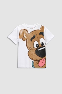 Chłopięca koszulka Scooby Doo 62 Coccodrillo