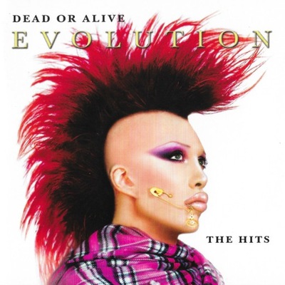 CD DEAD OR ALIVE - Evolution The Hits