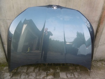 Skoda scala 657 - капот фото №1