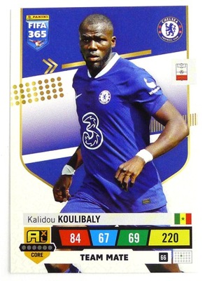 PANINI FIFA 365 2023 karta bazowa Koulibaly 66