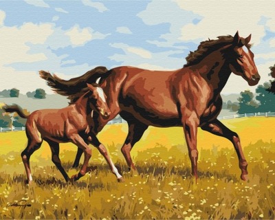 Malowanie po numerach Paint it! galop 40x50 cm