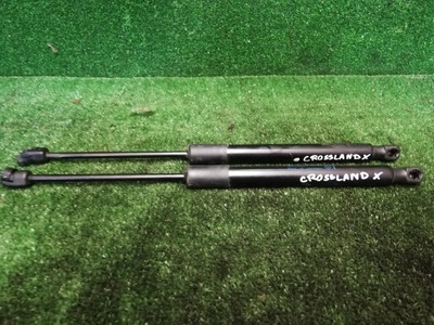 Opel crossland амортизаторы крышки комплект фото №1