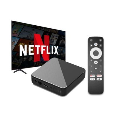 Dune HD Homatics Box R 4K Plus Streaming Netflix