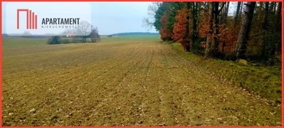 Działka, Bysław, Lubiewo (gm.), 3000 m²