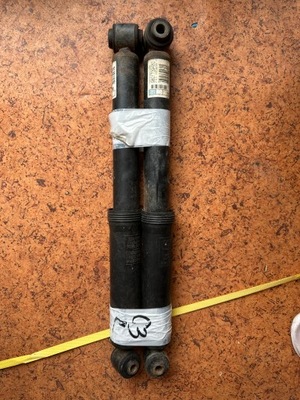 Амортизатор задня citroen c3 ii 9801739480 kpl фото №1