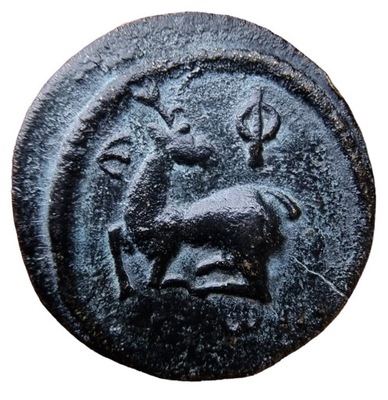 NumisMATI R56 Ionia Efez, ok. I w. n.e., rzadkie