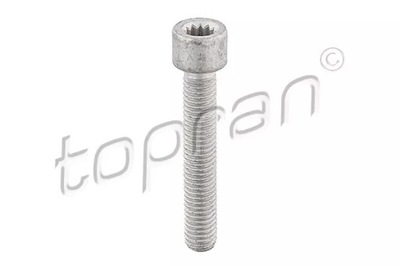 HP 104 306 БОЛТ ШАРНІРА ВНУТРІШНЬОГОM 8X1,25X48 TORX VW/A