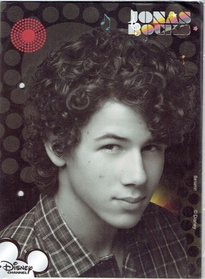 Wkład do segregatora A5 Karteczki Jonas Brothers 3