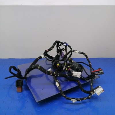 Lancia thesis джгут двері передніх правих фото №1